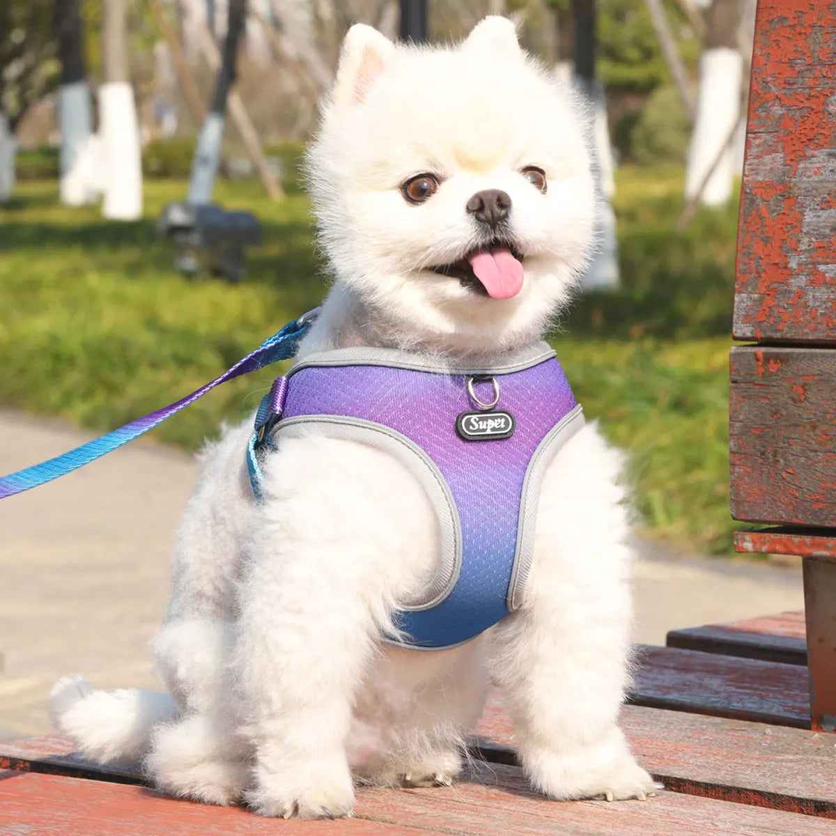 Nylon Dog Harness, photo 2