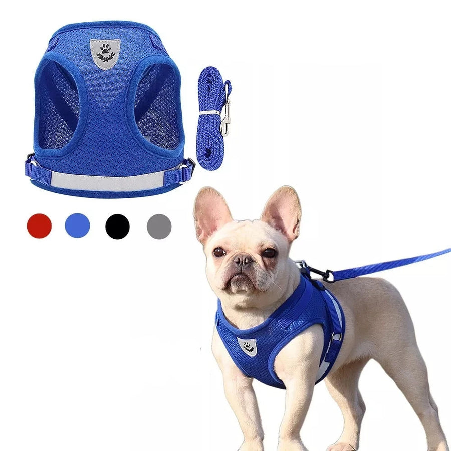 Designed as a Vest Harness, ensuring a secure fit and eliminating strain on your dog's neck.