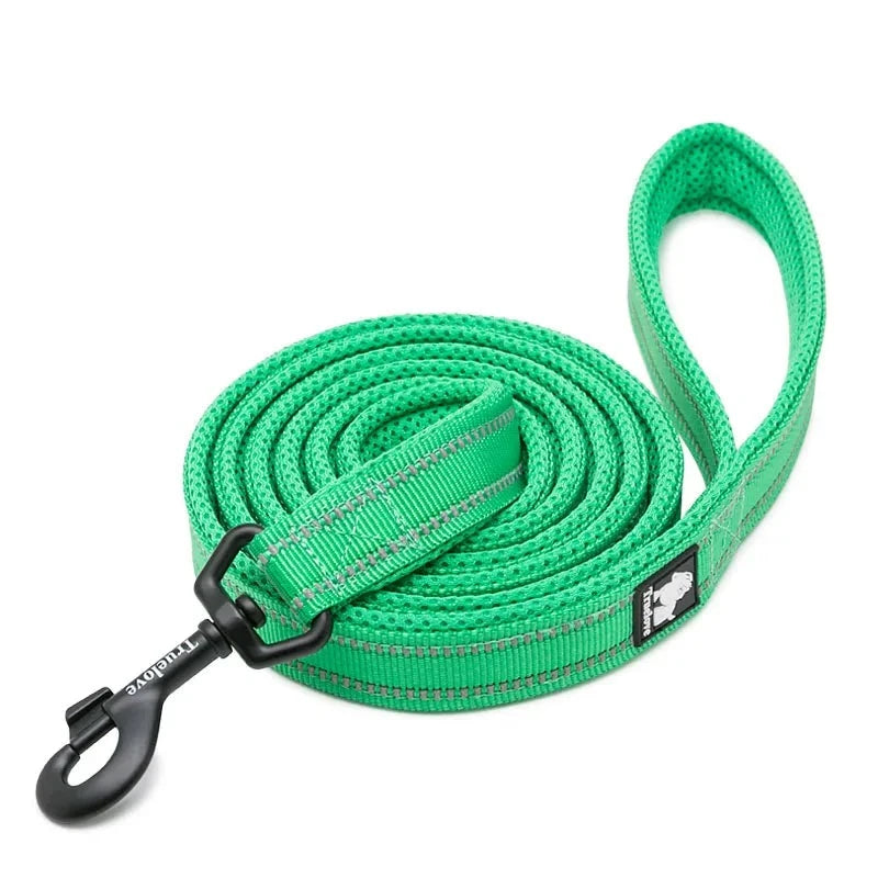 Reflective Dog Leash in Grass Green