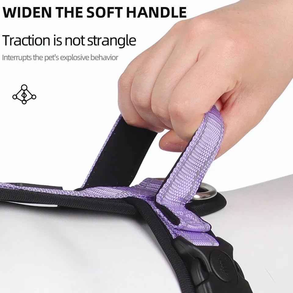 Dog Harness With Handle, photo 4