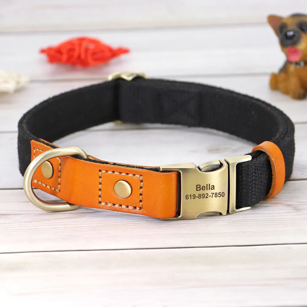 Personalized Adjustable Dog Collars in Black
