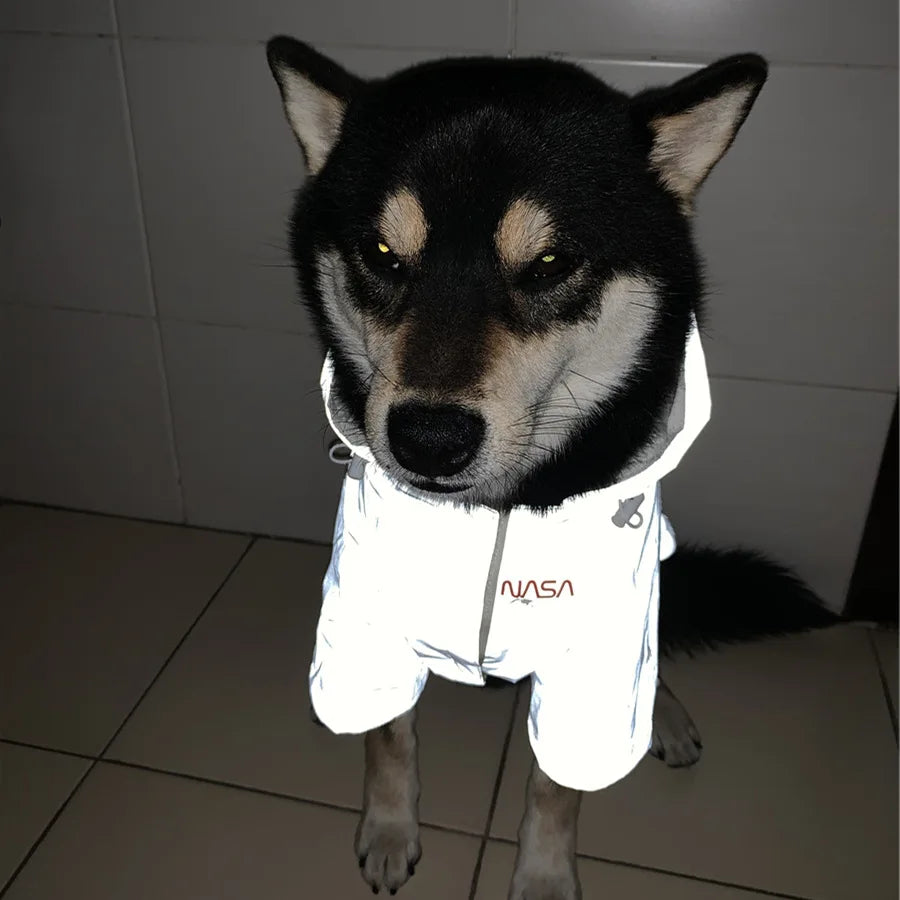 NASA Dog Jacket