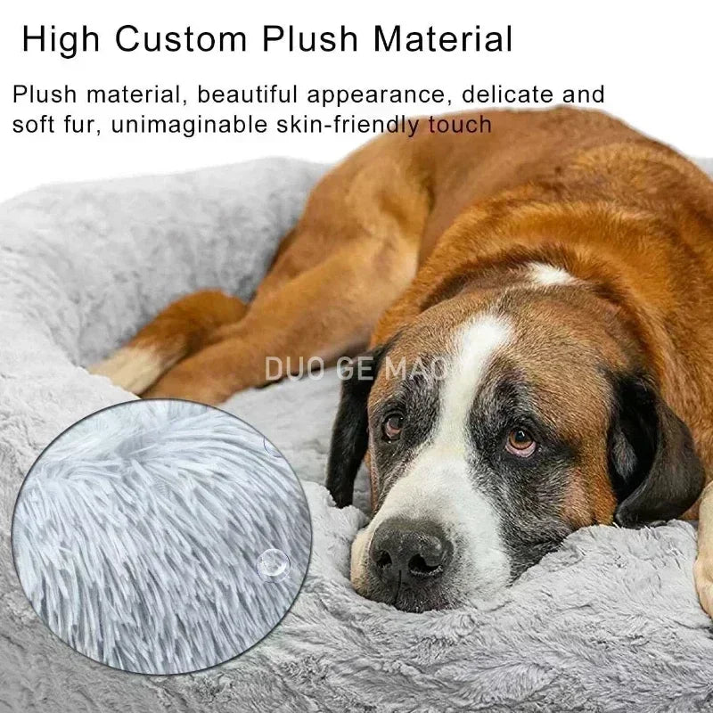 Human Dog Bed