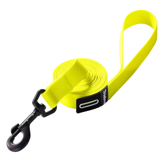 Neon Color Dog Leash