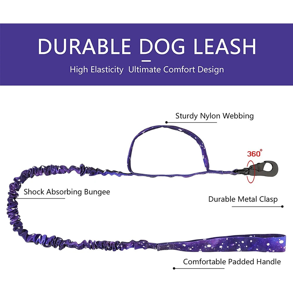Tactical Dog Collar & Leash