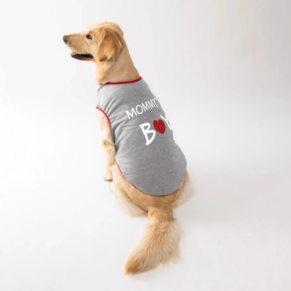 Cute Dog Shirts, photo 2