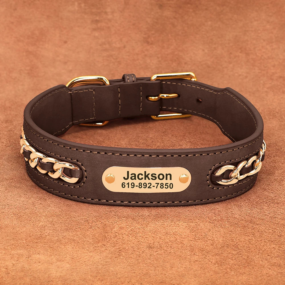 Customized Dog Collar in Brown