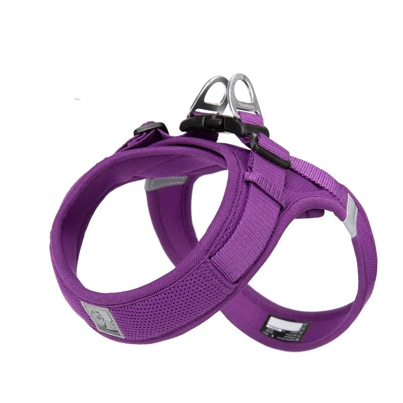 Comfort Dog Harness in Purple