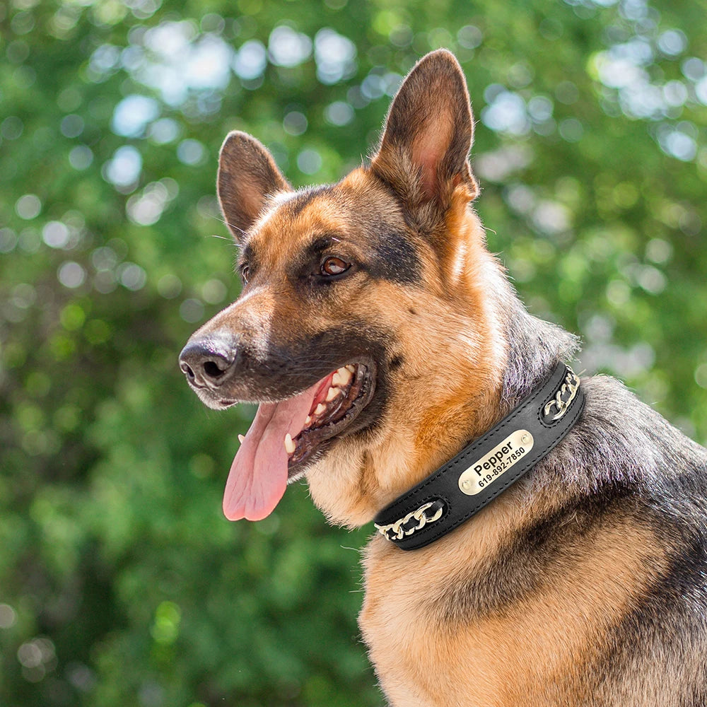 Customized Dog Collar, photo 5