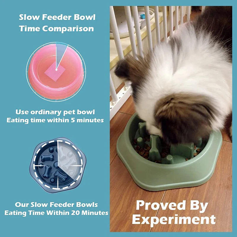 Slow Feed Dog Bowl For Small Dogs