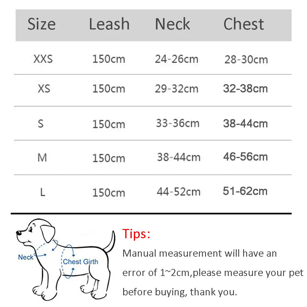 Small Dog Harness & Leash Set