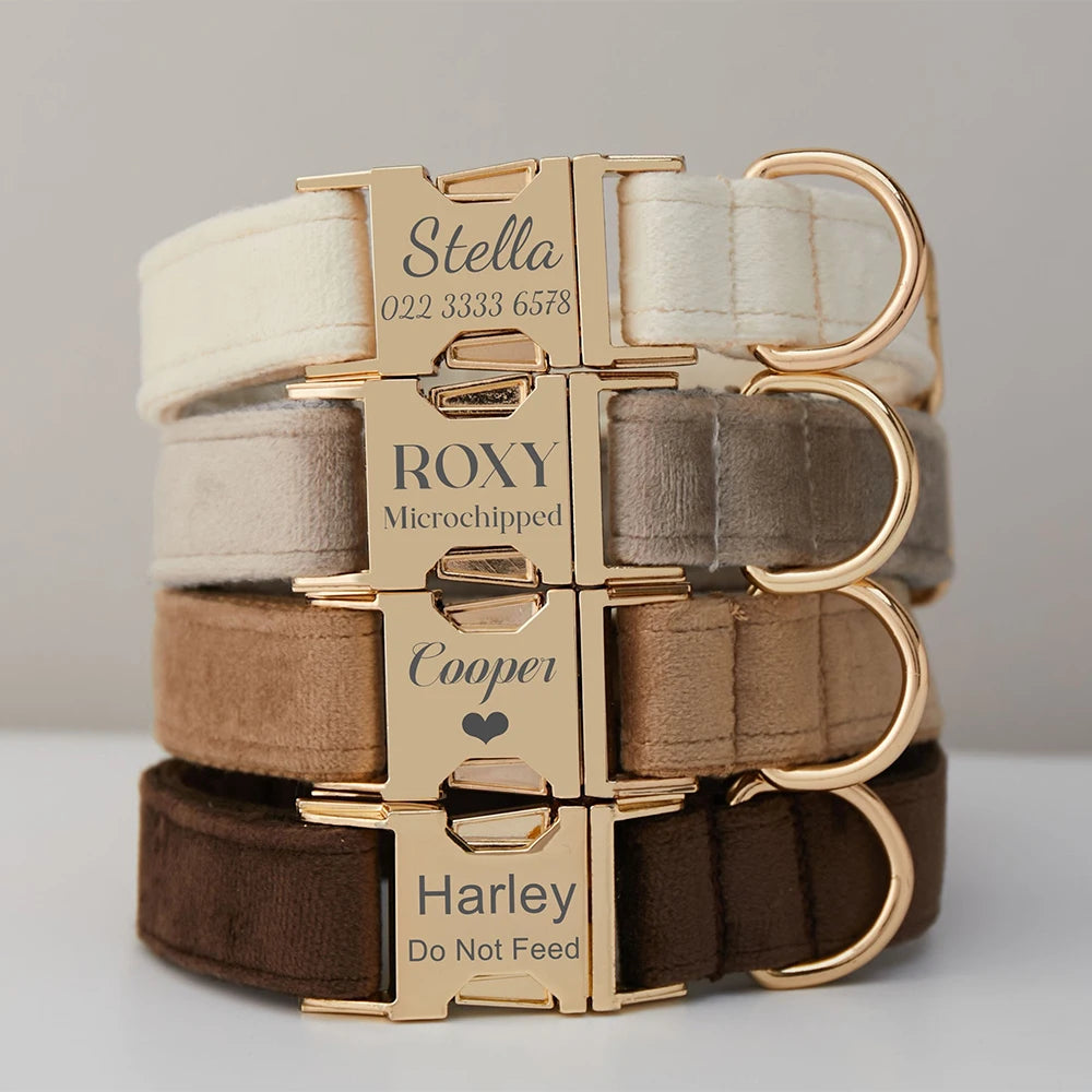 Personalized Cute Dog Collar
