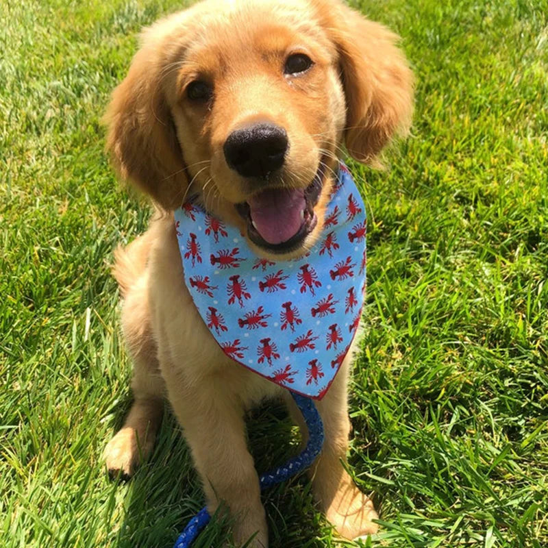 Dog Bandana