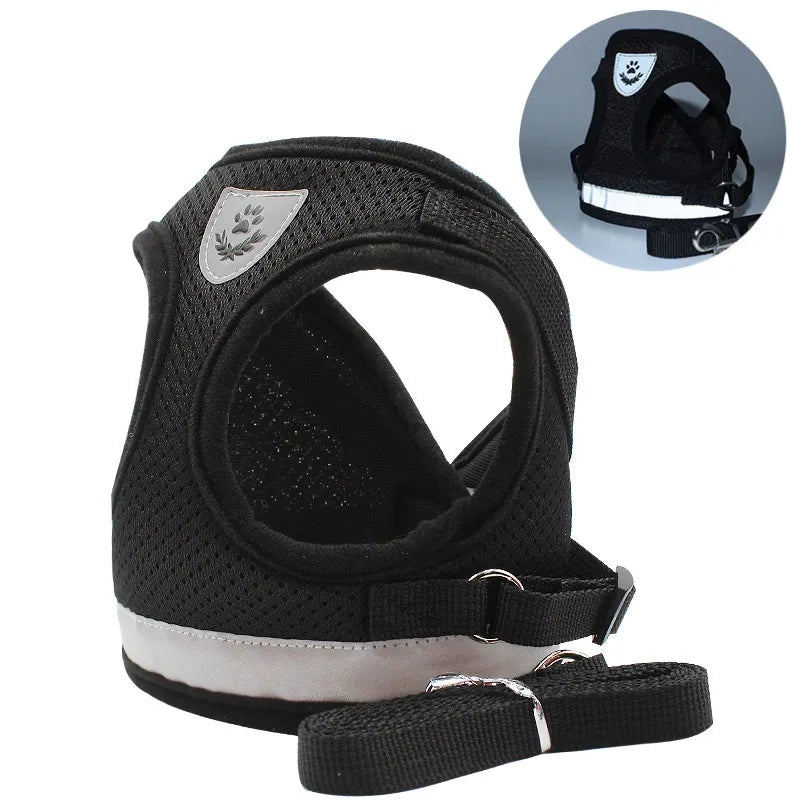 Blue Dog Harness in Black