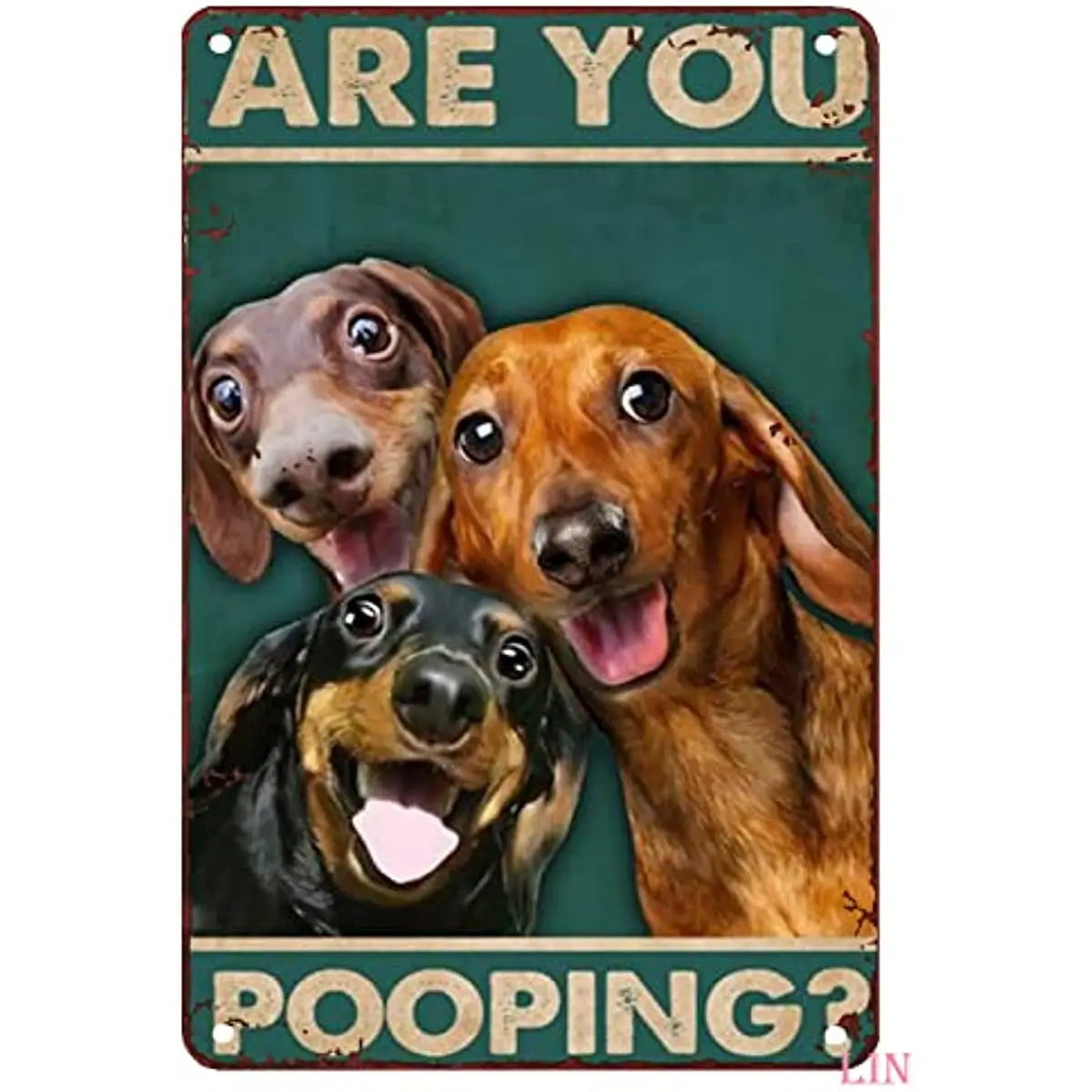 Funny Dog Signs