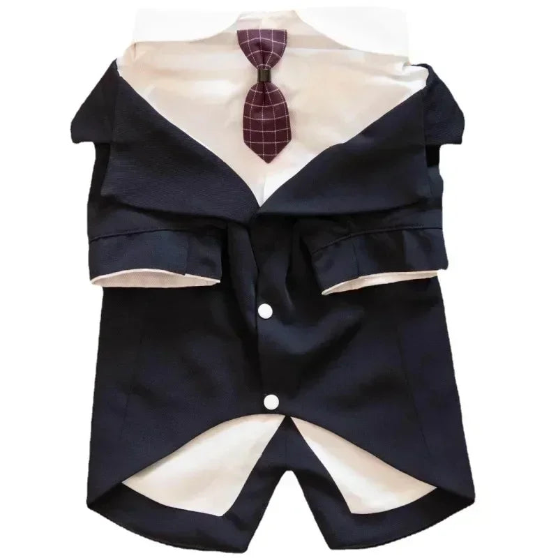 Dog Tuxedo For Wedding in Black