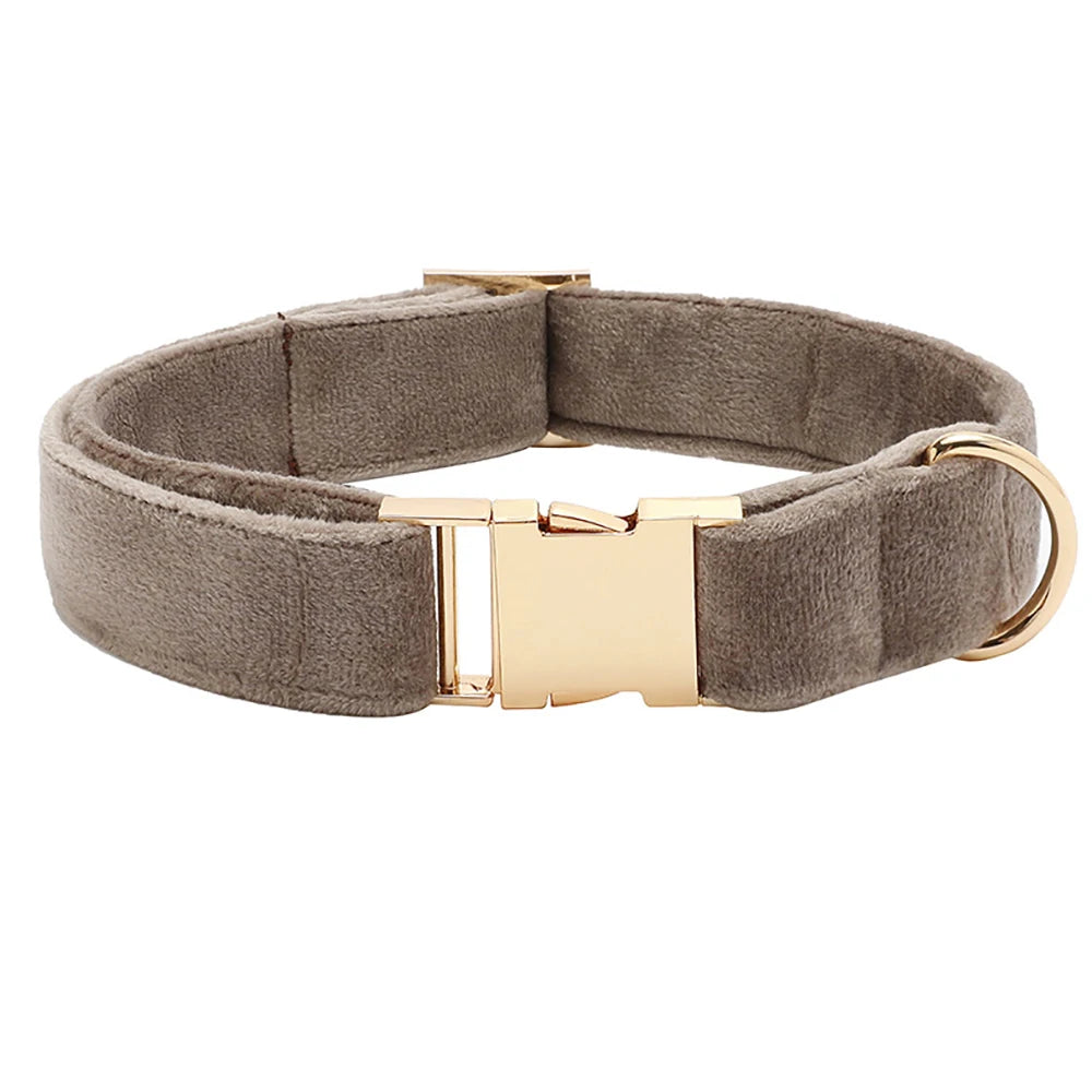 Personalized Cute Dog Collar in Collar Gray