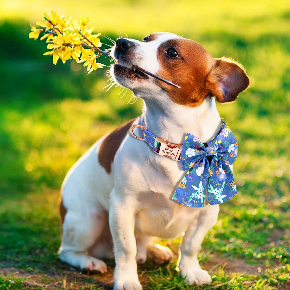 Personalized Nylon Bow Dog Collar