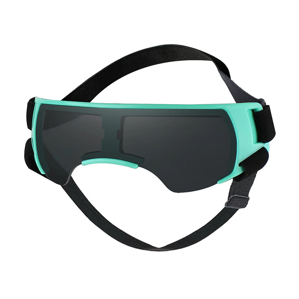Small Dog Goggles in Green