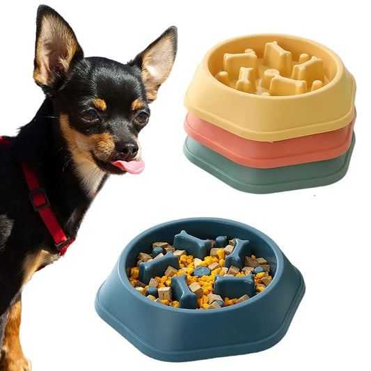 Slow Feed Dog Bowl For Small Dogs