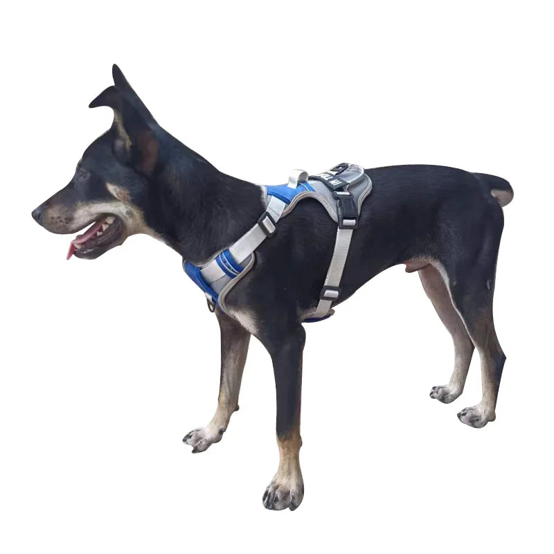 Personalized Reflective Dog Vest Harness