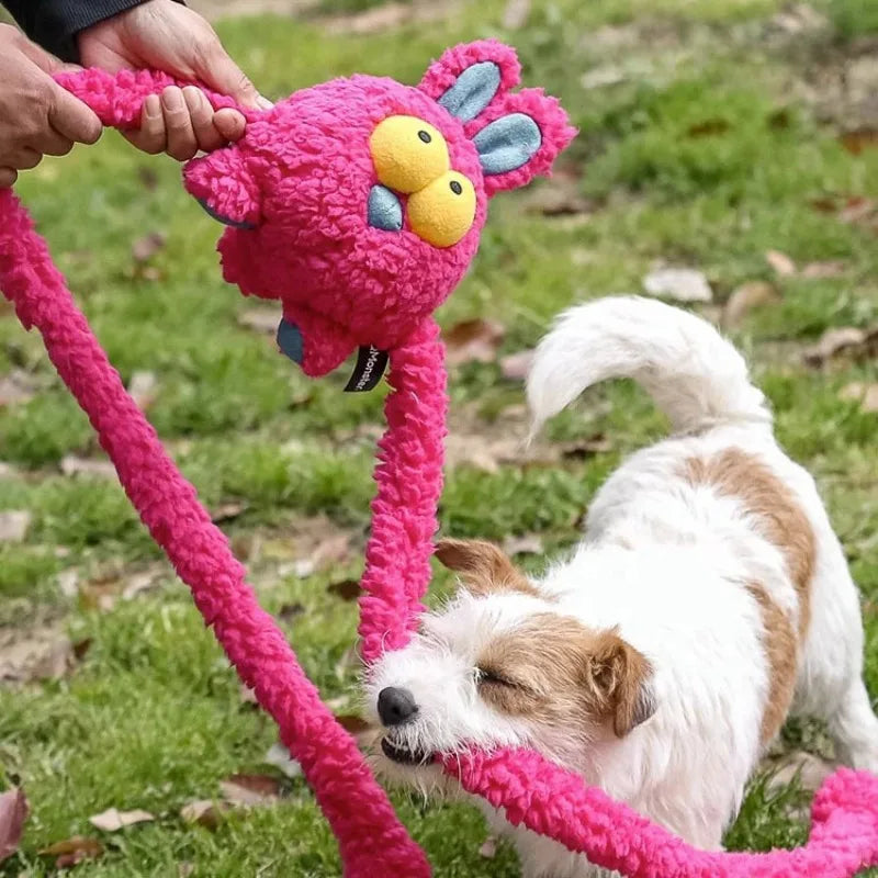 Tug Of War Dog Toy