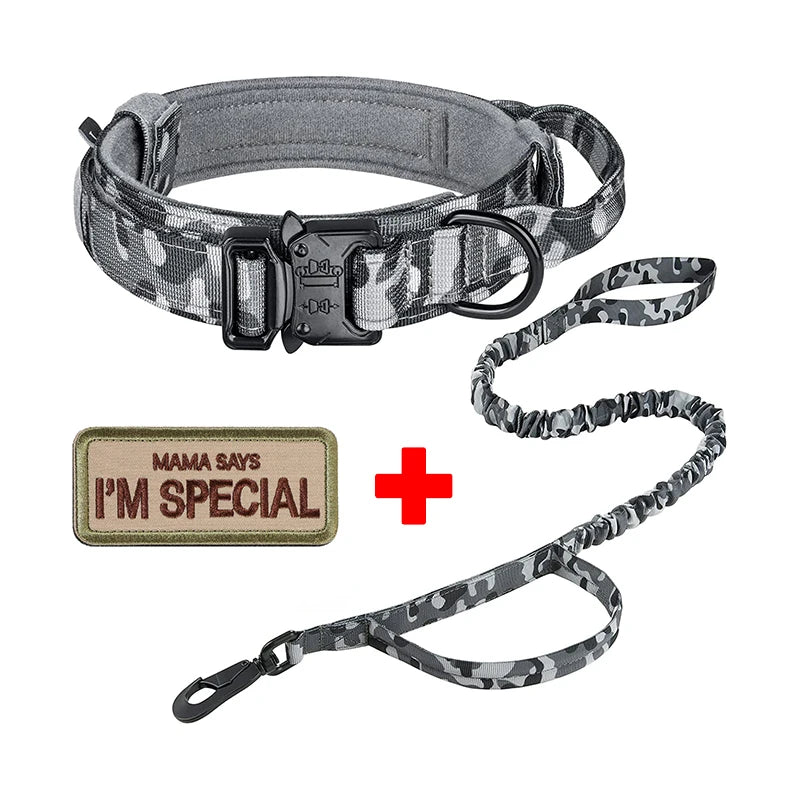 Tactical Dog Collar and Leash in Collar & Leash