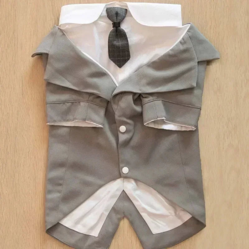 Dog Tuxedo For Wedding in Gray