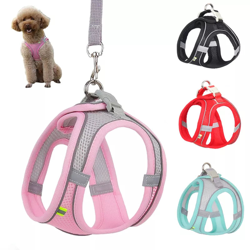 Soft and Comfortable: This harness is made with soft and breathable materials to ensure maximum comfort for your small dog. With no hard edges or buckles to irritate their skin, your pet will experience a comfortable walk every time.
