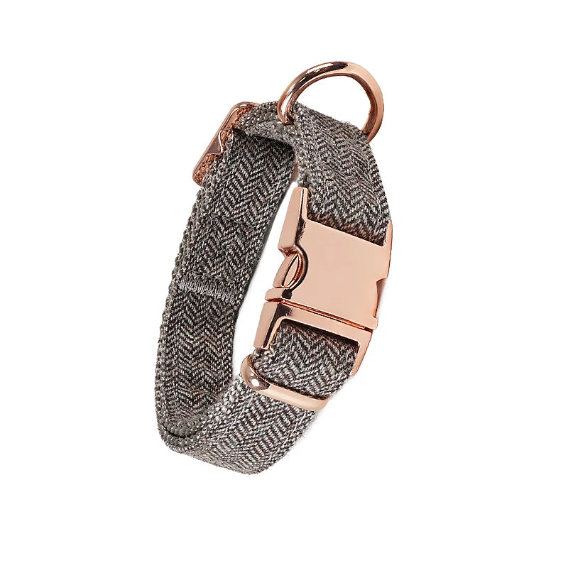 Metal Buckle Dog Collar in Grey