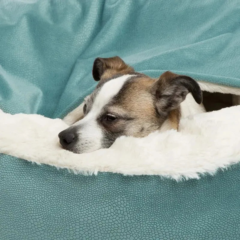 Dog Bed With Hooded Blanket