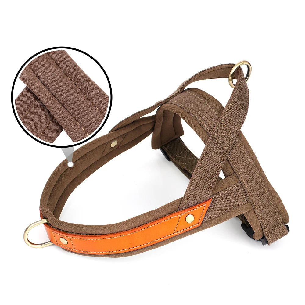 No Pull Dog Harness, photo 3