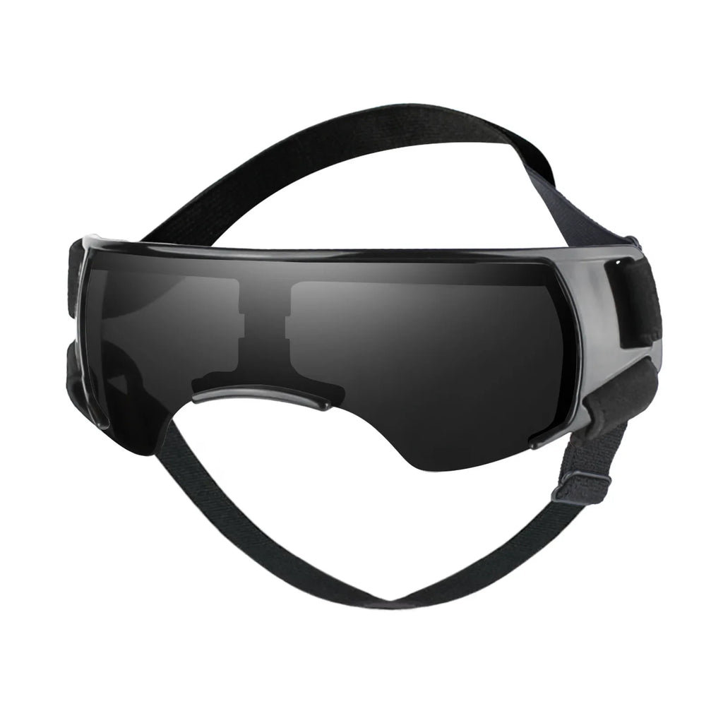 Small Dog Goggles in Black