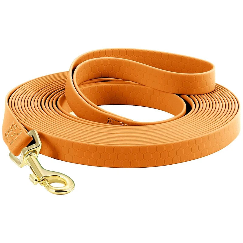 Long Dog Leash in Vibrant Orange