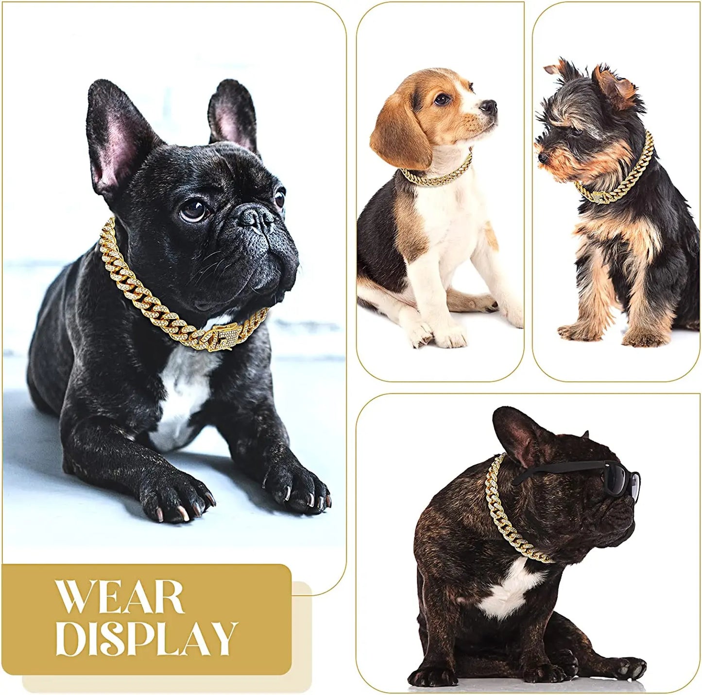 Gold Dog Chain Collar
