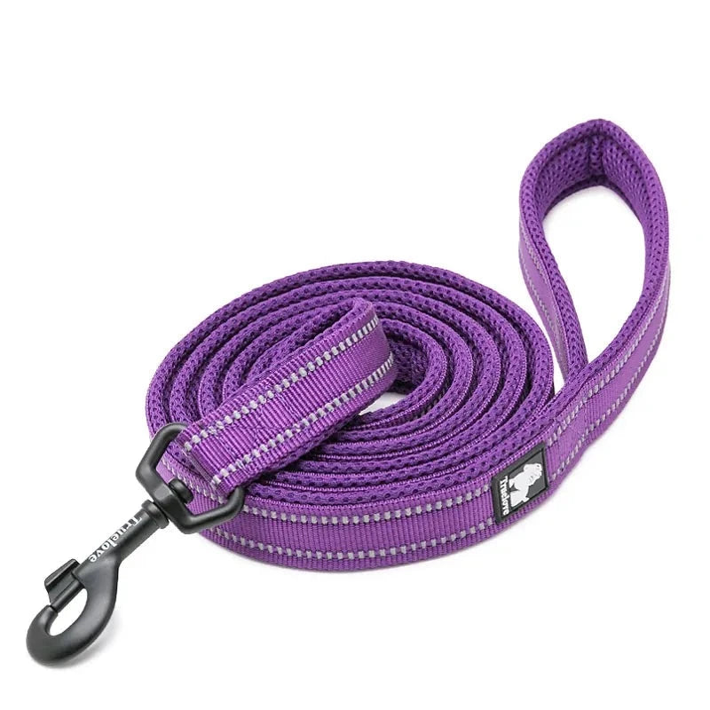 Reflective Dog Leash in Purple