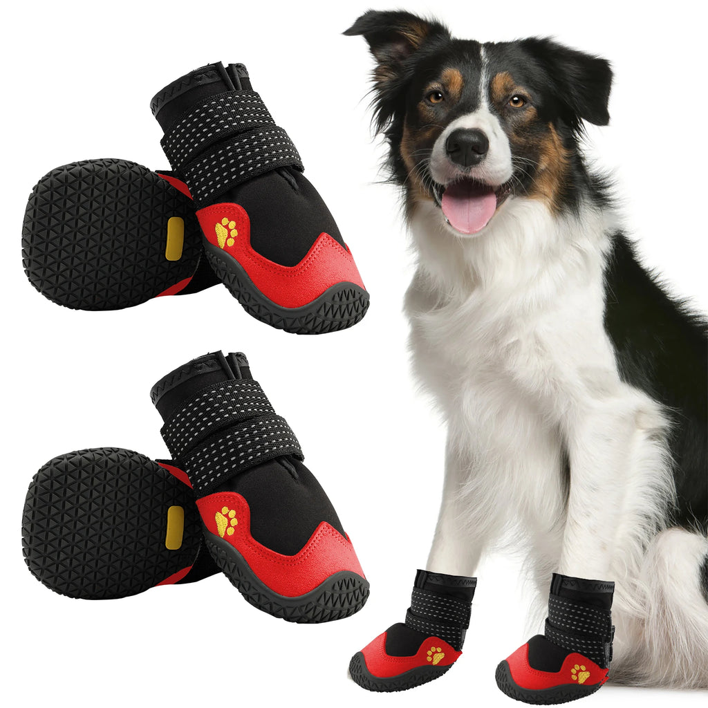 Dog Walking Shoes in Black