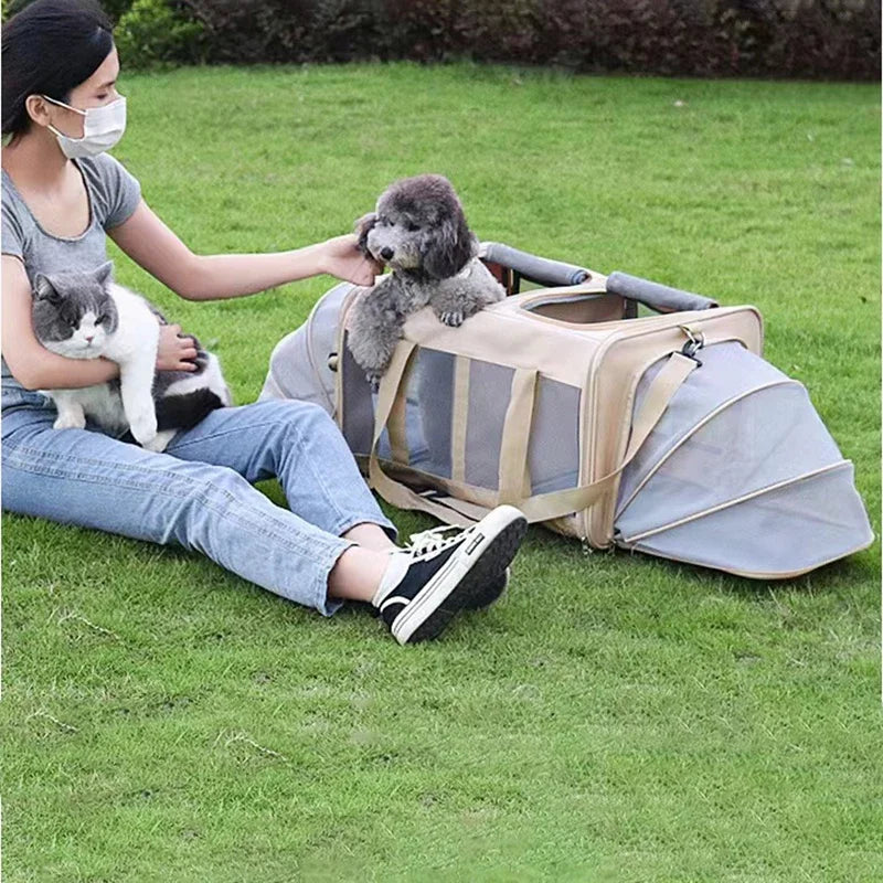 Perfect for all seasons, allowing you to enjoy outdoor activities with your furry friend throughout the year