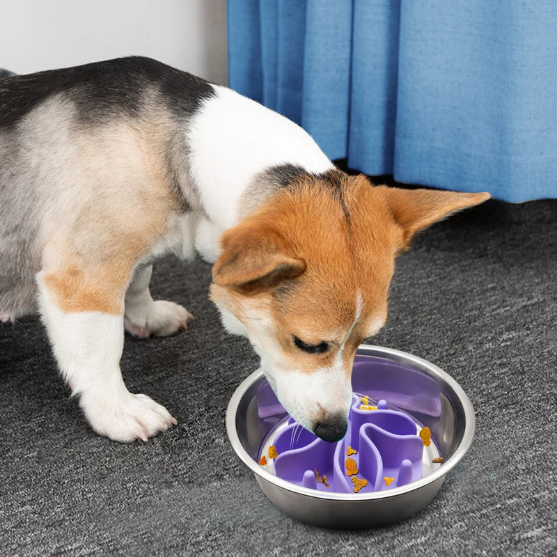 Slow Feeder Dog Bowl For Small Dogs
