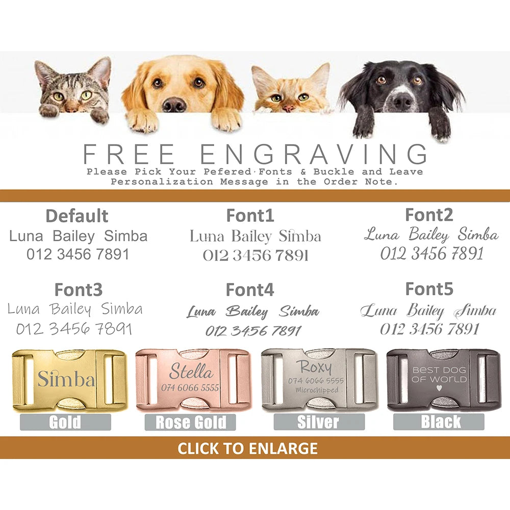Personalized Cute Dog Collar