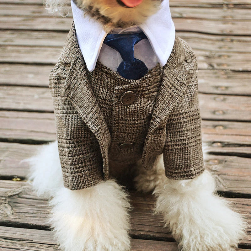 Dog Clothes Wedding, photo 6