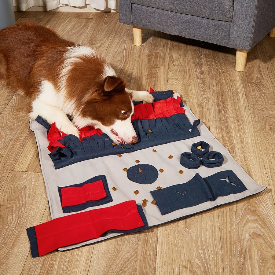 Type: Specially designed for dogs, ensuring it meets their unique needs.