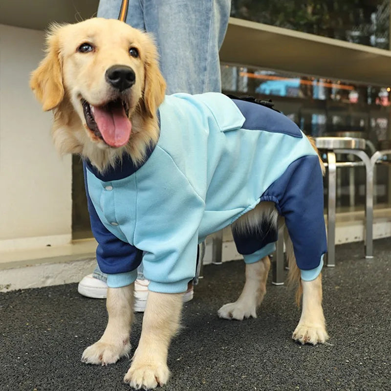 Winter Dog Coats