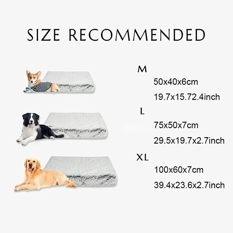 Plush Dog Bed