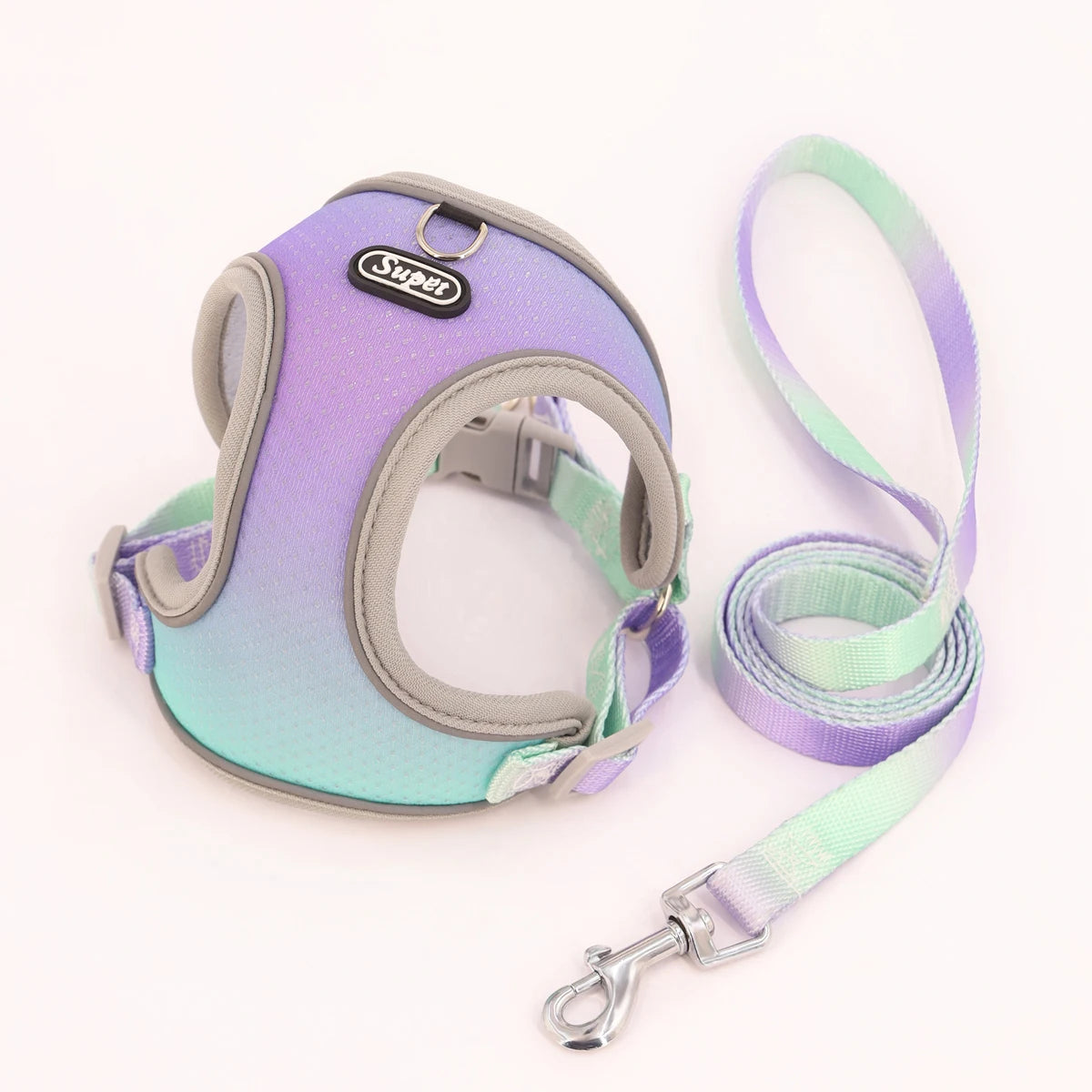 Nylon Dog Harness in Purple & Green