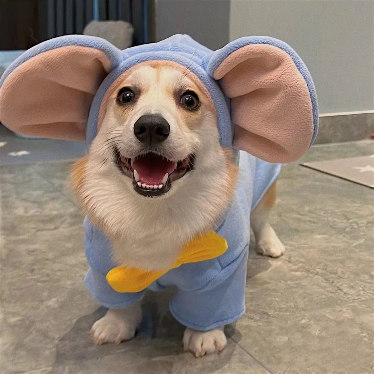 Dog Elephant Costume in Blue