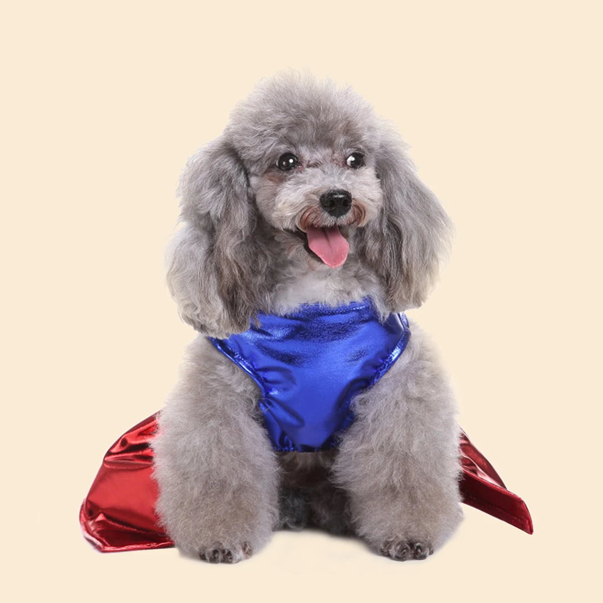 Dog Superhero Costume