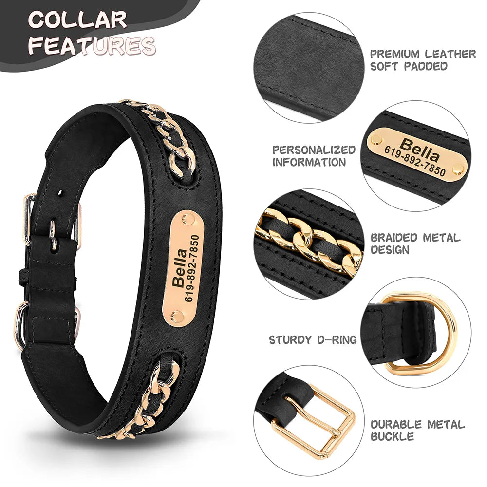 Customized Dog Collar