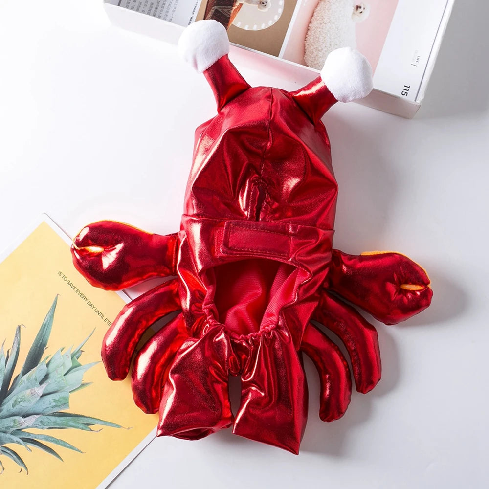 Dog Crab Costume