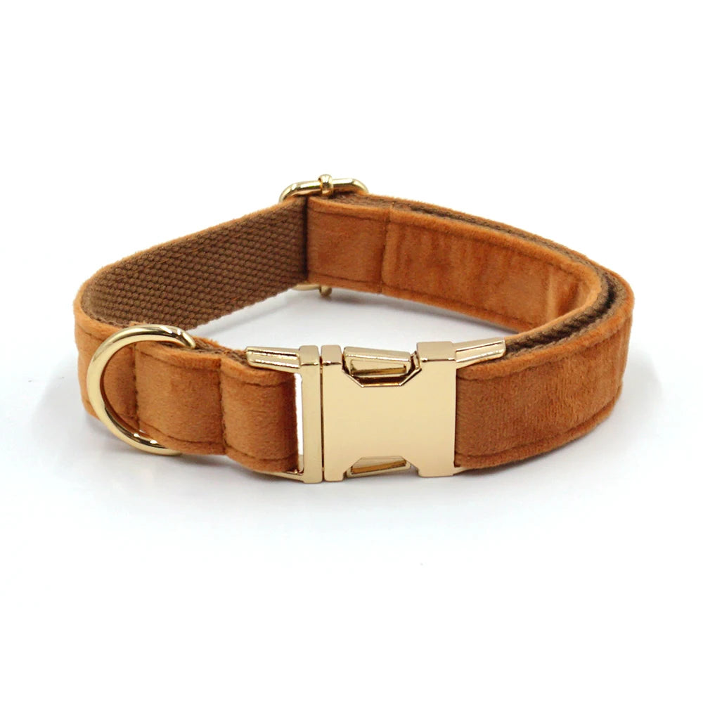 Personalized Cute Dog Collar in Collar Coffee